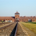 auschwitz7