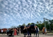 image_6483441 (11)